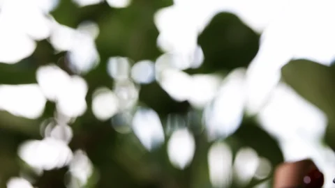 Chinese tea ceremony. Close up of the tea cup. Сultural heritage of China Stock Footage 105642425