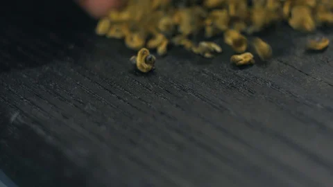 Chinese tea is spread on the black table Stock Footage 126547046