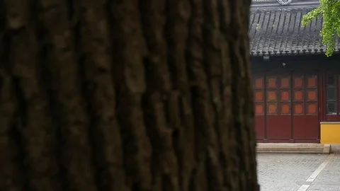 Chinese Temple Stock Footage 123981336