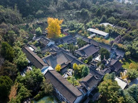 Chinese temple with trees Stock Photos