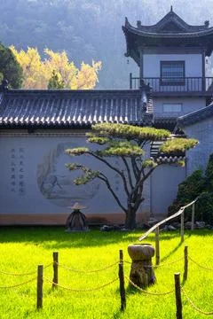 Chinese temple with trees Stock Photos