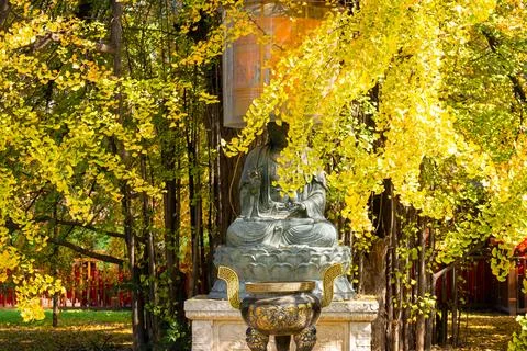 Chinese temple with trees Stock Photos