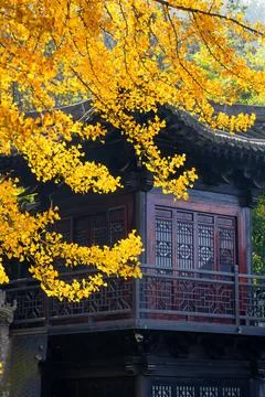 Chinese temple with trees Stock Photos