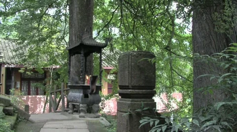 Chinese Temples Video stock 693864