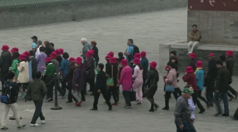 A Chinese tour group 1 Stock Footage 44765838