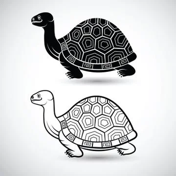 Chinese turtle Illustrazione stock
