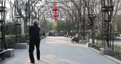Chinese Uncle Practicing Diable Tai Chi Shanghai Park Morning Slow Motion 4K Stock Footage 263103060