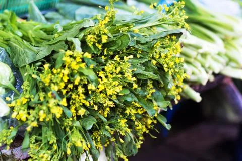 Chinese vegetable: choy sum Stock Photos