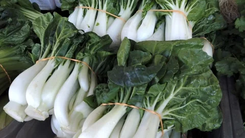 Chinese vegetables including Bok Choy on retail display Stock Footage 339305850