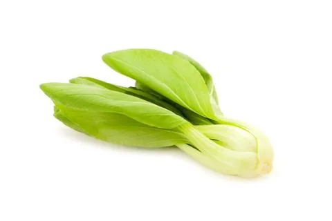 Chinese White Cabbage Foto stock