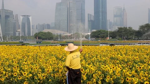 Chinese worker watering a large plot of flowers in the city center Stock Footage 118433782