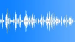 ChineseMarket_ChiniTwnNYCSound Effect