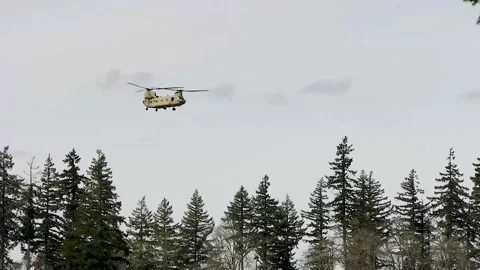 Chinook helicopter flying above tree line Stock Footage 181559509