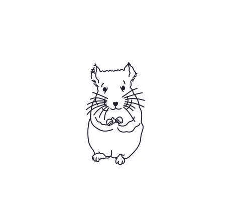 Chinshilla Stock Illustration