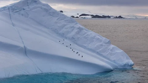 Chinstrap penguins walking in a line on a huge antarctic iceberg Stock Footage 320564200