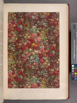 Chintz pattern by Japui &amp; son of Paris.. Wyatt, M. Digby (Matthew Digby), ... Stock Photos