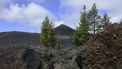 Chinyero volcano with some pinetrees in the foreground. Tenerife. Teide. Stock Footage 158484558