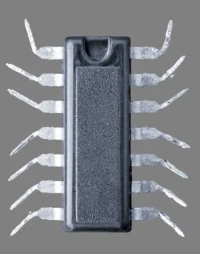 Chip in an image of a spider. isolated on gray background. Stock Photos