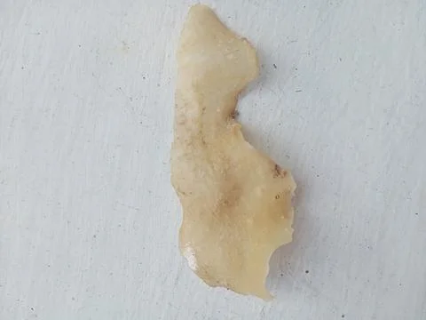 Chip on a white surface Stock Photos