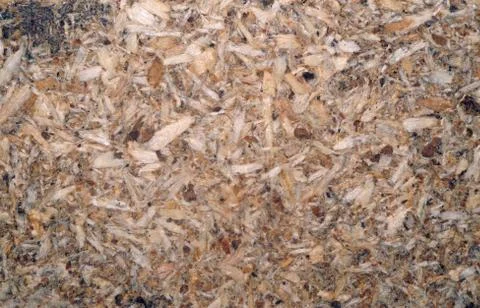 Chipboard texture closeup as background Stock Photos