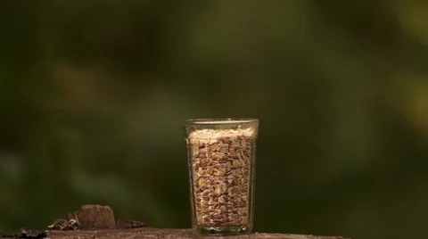 Chipmunk and a glass Stock Footage 40535388