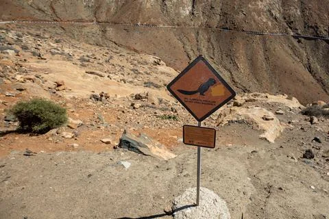 Chipmunk do not feed Stock Photos