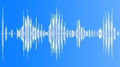 Chipmunk laughter - very fast Sound Effect