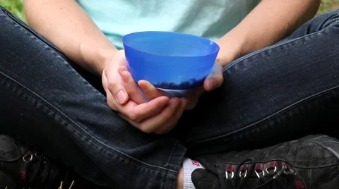 Chipmunks eating out a of a person's lap. Stock Footage 63149743