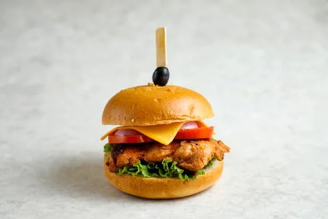Chipotle chicken burger include cheese slice, tomato, onion and lettuce lea.. Foto stock