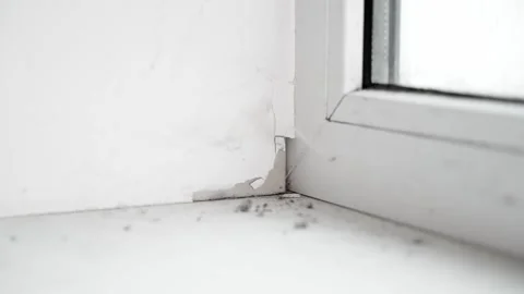 A chipped corner of the putty of the window slope, freezing and moisture. Poor Stock Footage 233100816