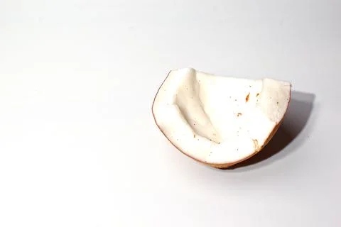 Chipped piece of coconut. Isolate. Stock Photos