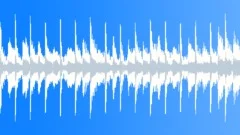 Chipped Stones (Acoustic Loop 3) Stock Music