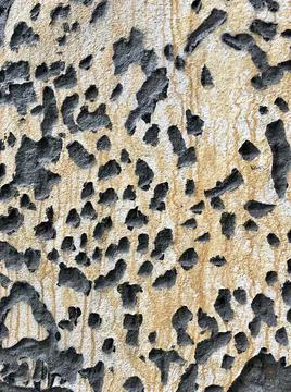 Chipped textured surface Stock Photos