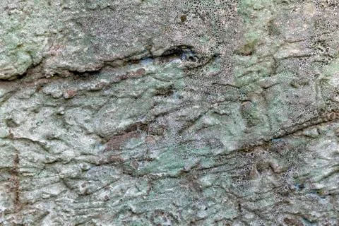 Chipped wall texture. Stock Photos
