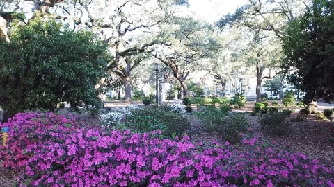 Chippewa Square Vídeo Stock 87081591