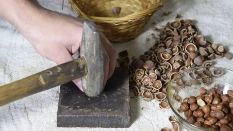 Chipping the hazelnuts with a hammer on the table Video stock 85077691