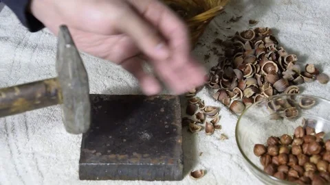 Chipping the hazelnuts with a hammer on the table Video stock 85077992