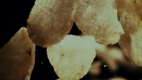 Chips Fall and Bounce and Break Stock Footage 300892542