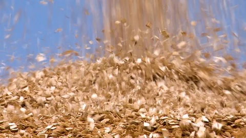 Chips fall in slow motion. Wood processing. Wood processing. Stockbeeldmateriaal 119301825