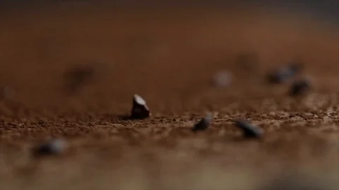 Chips or Nibs of Cacao Beans Falling on Cacao Powder Extreme Closeup No. 2 Stock Footage 99163480