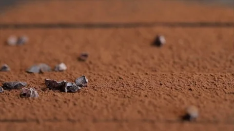 Chips or Nibs of Cacao Beans Falling on Cacao Powder Closeup No. 1 Stock Footage 99163533
