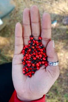 CHIRMI BEADS Foto stock