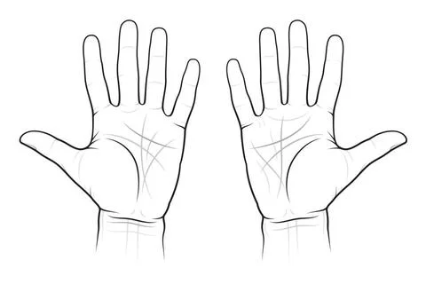 Chiromancy Chart of the Palms Chiromancy Chart of the Palms: lines and way... 스톡 사진