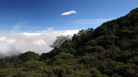 Chirripo 1 Stock Footage 112089100