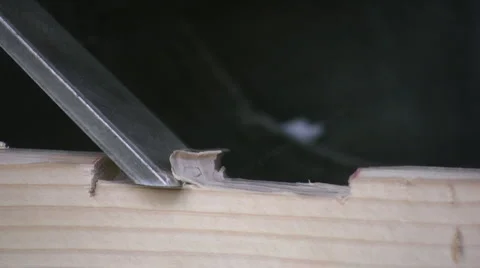 Chisel 스톡 동영상 3880411