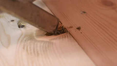 Chisel removes debris from fallen knot in wood floor, preparing the cavity for Stock Footage 310120354