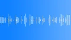 CHISEL, WOODSound Effect