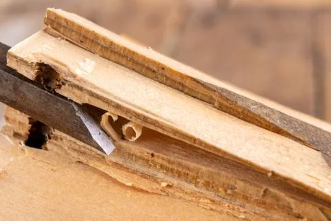 Chisel work in wood and raw wood shavings. Tools and accessories in a carpent 스톡 사진