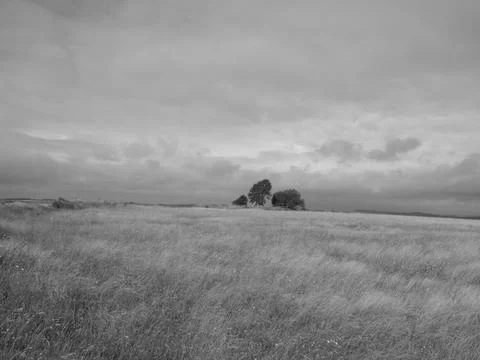 Chiselbury camp Stock Photos