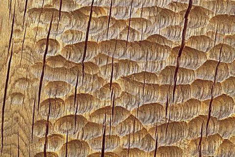 Chiseling wood texture pattern Stock Photos